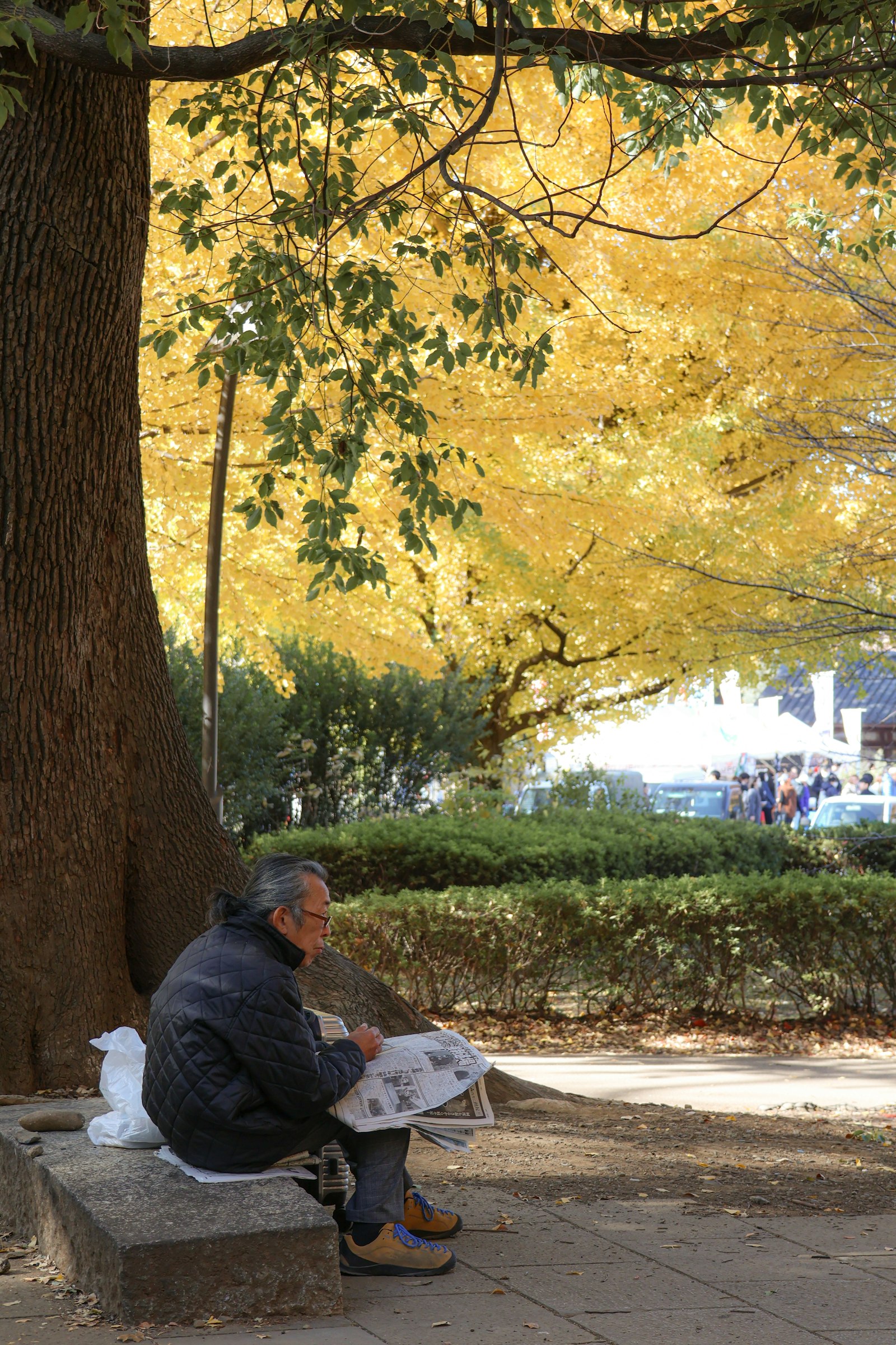 秋の公園のベンチで新聞を読む栄一