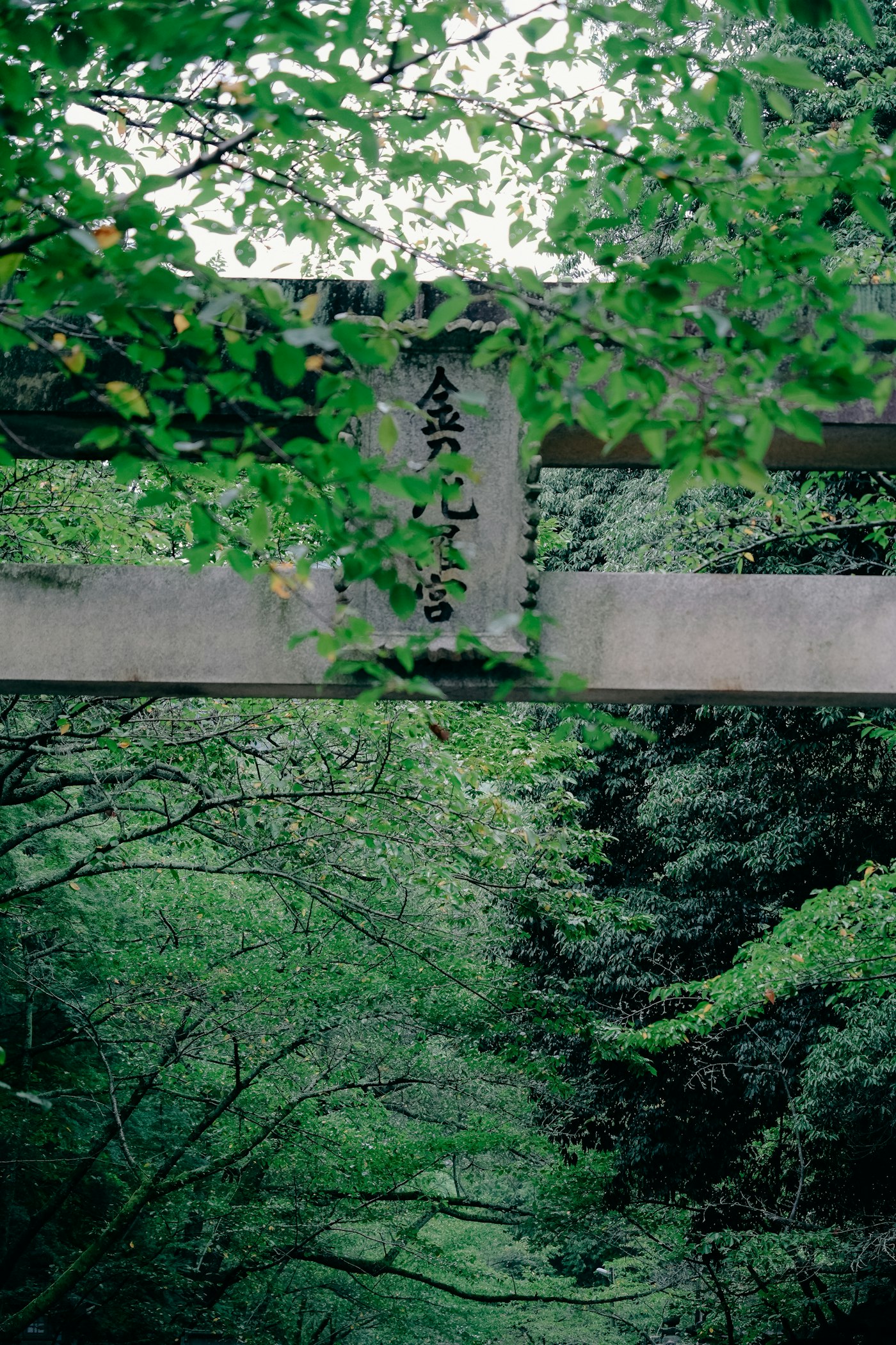 散歩道の鳥居